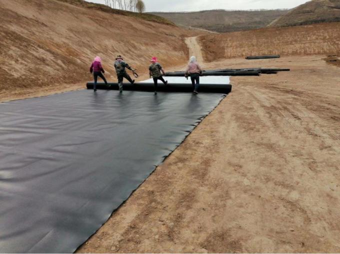 Lunghezza Requisito del cliente Geomembrana HDPE impermeabile per piscicoltura 9