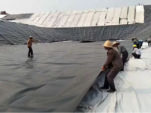 Lunghezza Requisito del cliente Geomembrana HDPE impermeabile per piscicoltura 6