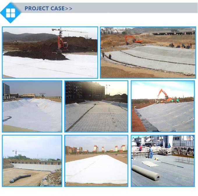 Bentonite Geotextile per rivestimento di stagni Bentonite naturale di sodio Rivestimento di argilla geosintetica 18