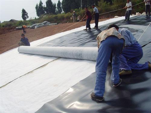 Membrana HDPE 2 mm personalizzata per stagni ASTM GM Film impermeabile standard e testurizzato 9