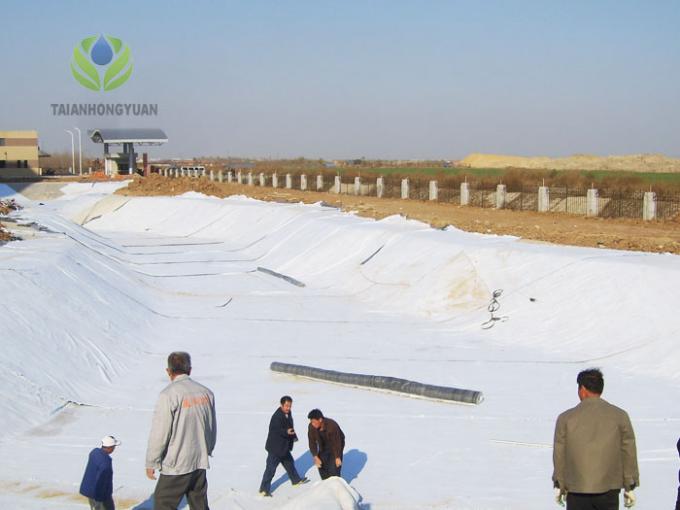 Liner in argilla geosintetica ad alta resistenza alla trazione con tappeto a membrana di bentonite impermeabile 16