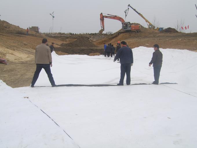3500g-8500g/m2 Bentonite Hydrain Mat Waterproof Blanket per rivestimenti in argilla geosintetica 13