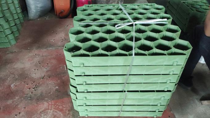 Stabilizzazione del traffico pedonale e dei veicoli grazie al paesaggio di rete di plastica 0