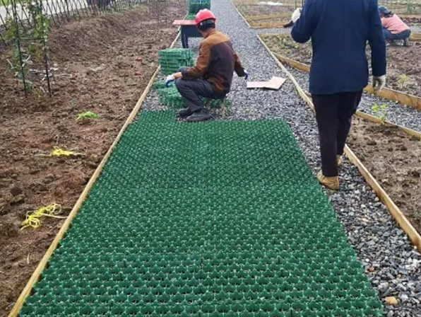 Stabilizzazione del traffico pedonale e dei veicoli grazie al paesaggio di rete di plastica 8