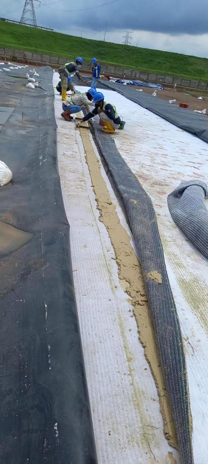 Liner in argilla geosintetica ad alta resistenza alla trazione con tappeto a membrana di bentonite impermeabile 21